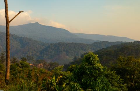 Erkunde Sri Lankas majestätische Berge und Gipfel