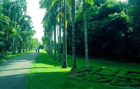 Henarathgoda Botanical Garden: A Hidden Horticultural Gem