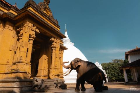 Kelaniya Raja Maha Viharaya: A Sacred Buddhist Temple Near Colombo