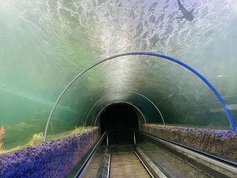Wasserwelt Kelaniya Reiseführer